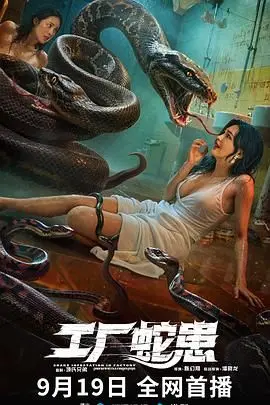 《工厂蛇患》：这不是鬼片！这部“温情奇遇”让你怀疑人生，胆小勿入！